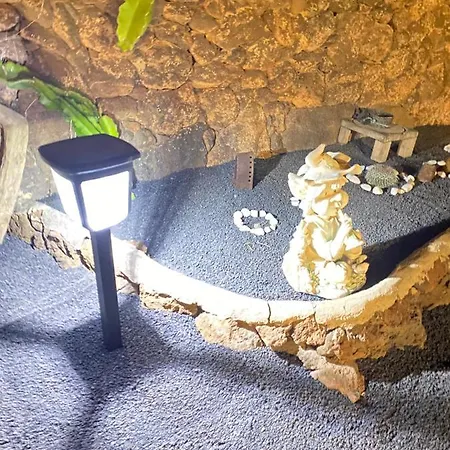 Mardelava تيناجون